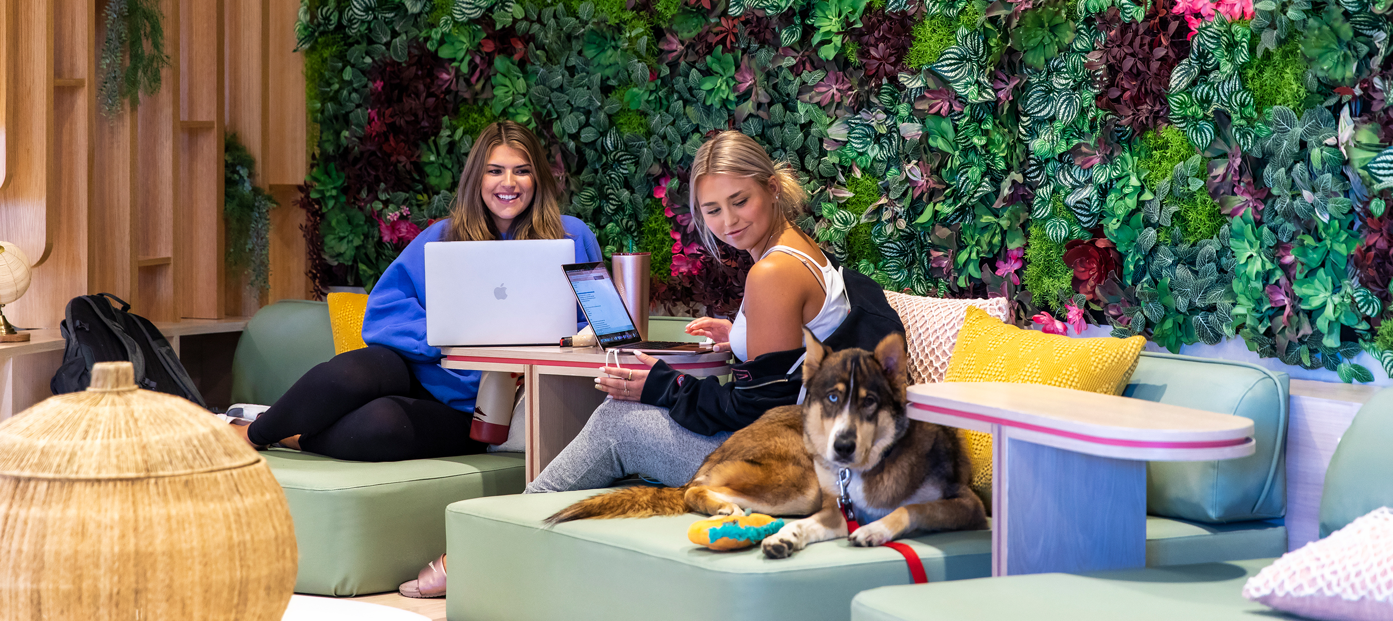 Friends studying with a dog